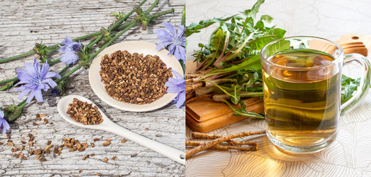 Beat the Bloat: The Gut-Soothing Benefits of Chicory and Dandelion Root in Zea Pot's Oh My Gut! Blend